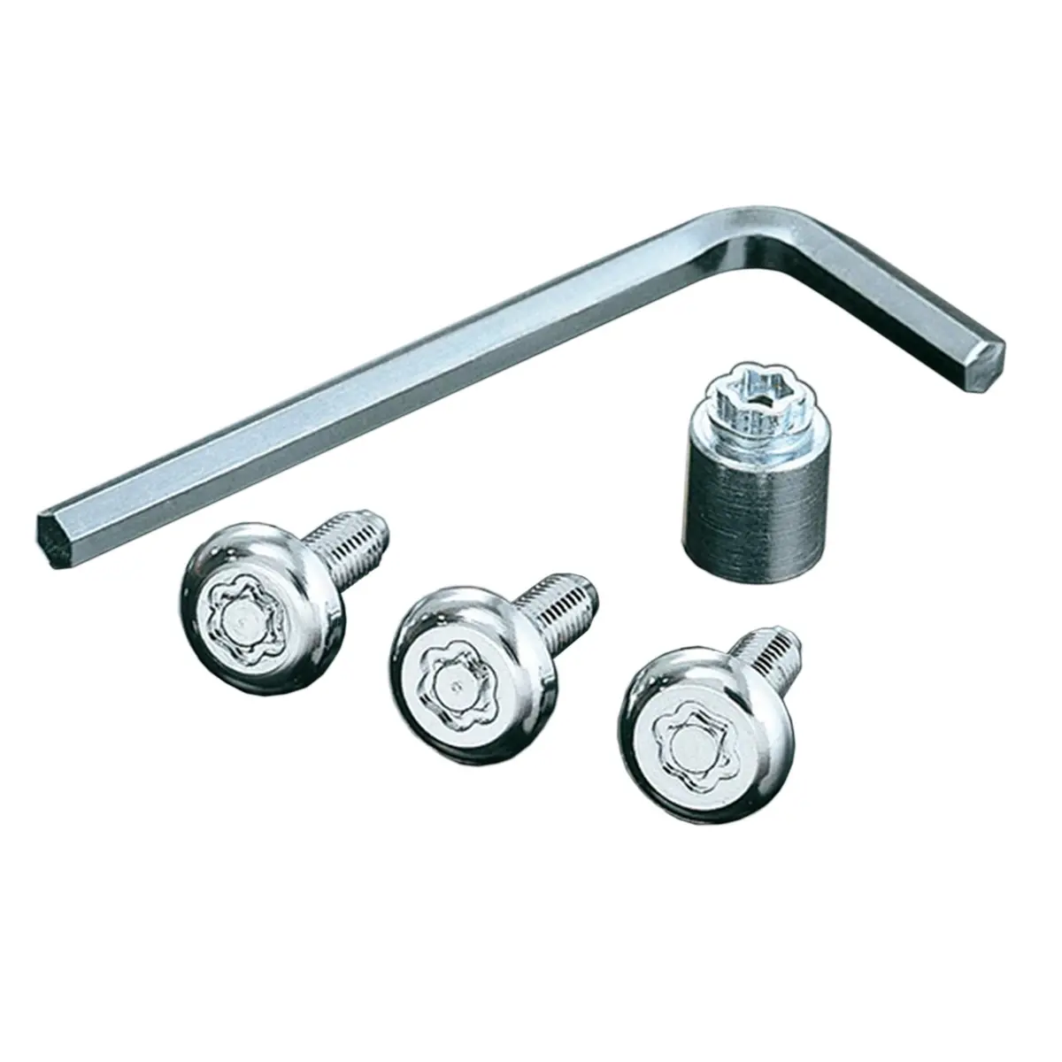 Genuine Honda | Access Locking Licence Plate Bolts | Honda Civic Type R | 2.0T K20c1 | 2015+ 1