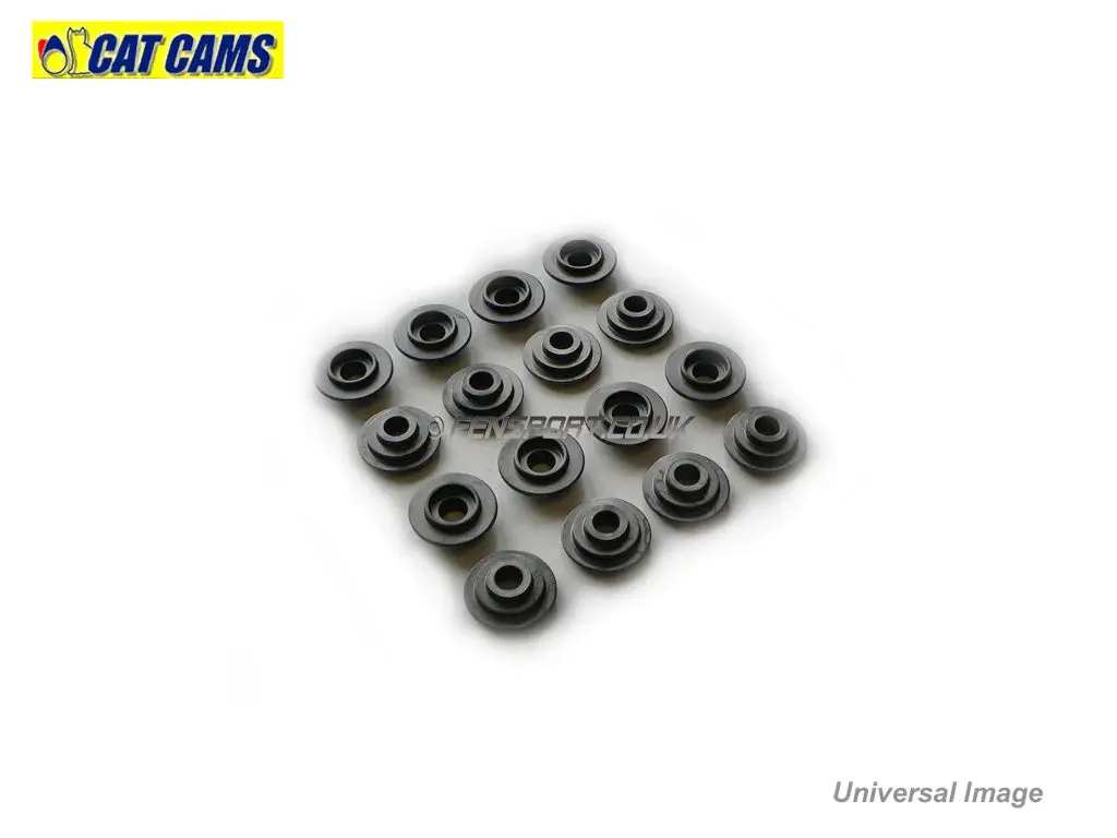 Cat Cams Retainers - 4Age 16V 1