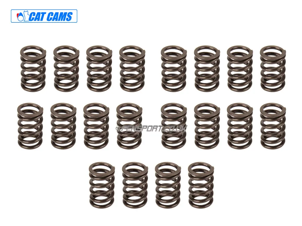 Cat Cams Uprated Valve Springs - 4Age 20V 1