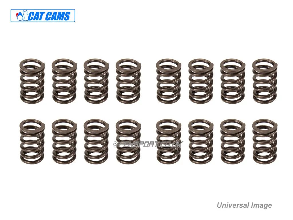 Cat Cams Uprated Valve Springs - 4Age 16V 1